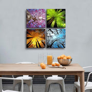 Four Seasons Canvas Wall Art Spring Summer Autumn Winter